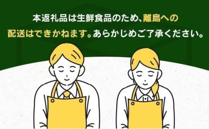 宮崎県日南市のふるさと納税 テレビで紹介された 数量限定 グレープフルーツ 月夜実 白 つくよみ 計4kg以上 期間限定 希少 完熟 果物 くだもの 柑橘 オリジナル ブランド 国産 食品 人気 おすすめ デザート スイーツ おやつ おすそ分け お取り寄せ グルメ 産地直送 宮崎県 日南市 送料無料_BC102-24