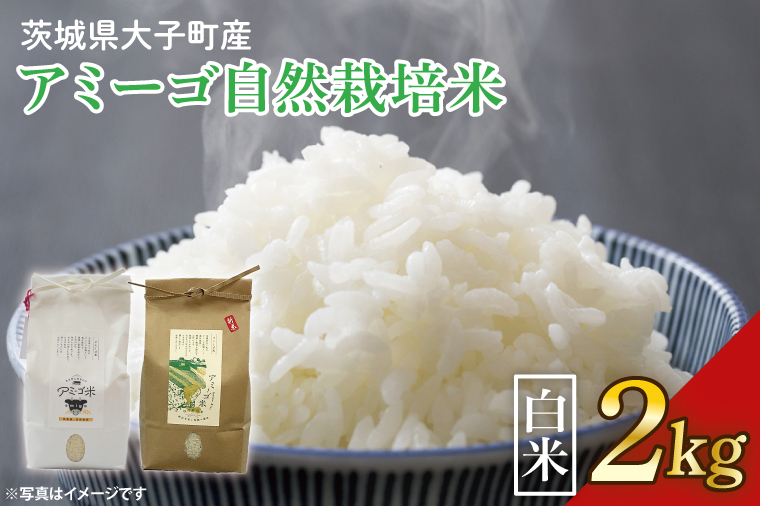 アミーゴ自然栽培米（5年目) 白米2kg 茨城県 大子町 米(CA001)