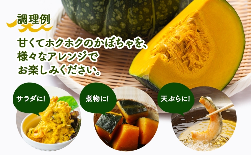 北海道月形町のふるさと納税 北海道 月形町産 かぼちゃ 虹ロマン 5～6個 約10kg 1箱 南瓜 カボチャ 野菜 旬 ホクホク 甘い パンプキン ハロウィン お取り寄せ 自家用 人気 おすすめ 産地直送 月形農業協同組合 送料無料 月形