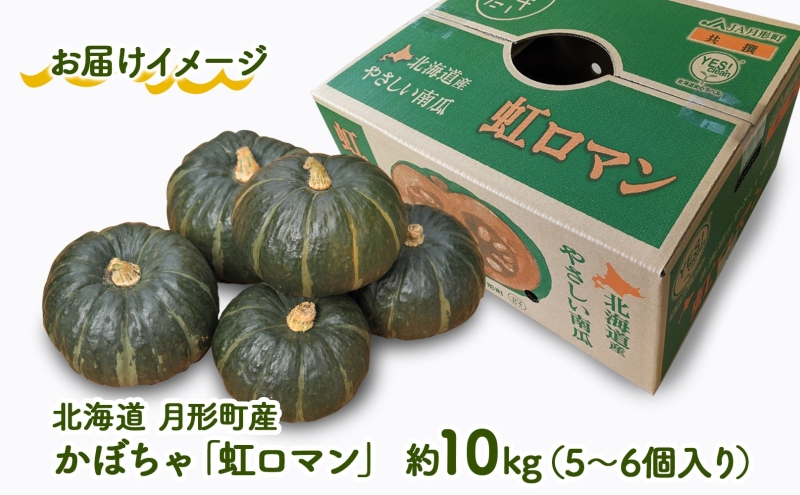 北海道月形町のふるさと納税 北海道 月形町産 かぼちゃ 虹ロマン 5～6個 約10kg 1箱 南瓜 カボチャ 野菜 旬 ホクホク 甘い パンプキン ハロウィン お取り寄せ 自家用 人気 おすすめ 産地直送 月形農業協同組合 送料無料 月形
