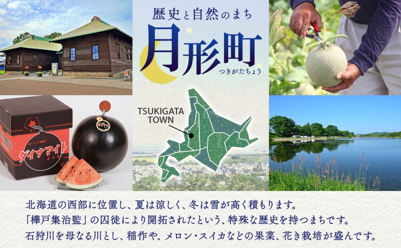北海道月形町のふるさと納税 北海道 月形町産 かぼちゃ 虹ロマン 5～6個 約10kg 1箱 南瓜 カボチャ 野菜 旬 ホクホク 甘い パンプキン ハロウィン お取り寄せ 自家用 人気 おすすめ 産地直送 月形農業協同組合 送料無料 月形