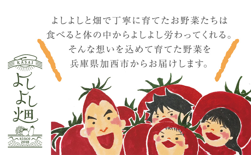 兵庫県加西市のふるさと納税 トマト 中玉 800g～1kg よしよし畑のあま～いトマト とまと 季節の野菜 旬の野菜 新鮮 農家直送 夏野菜 野菜 お届け：2024年11月中旬～2025年5月下旬