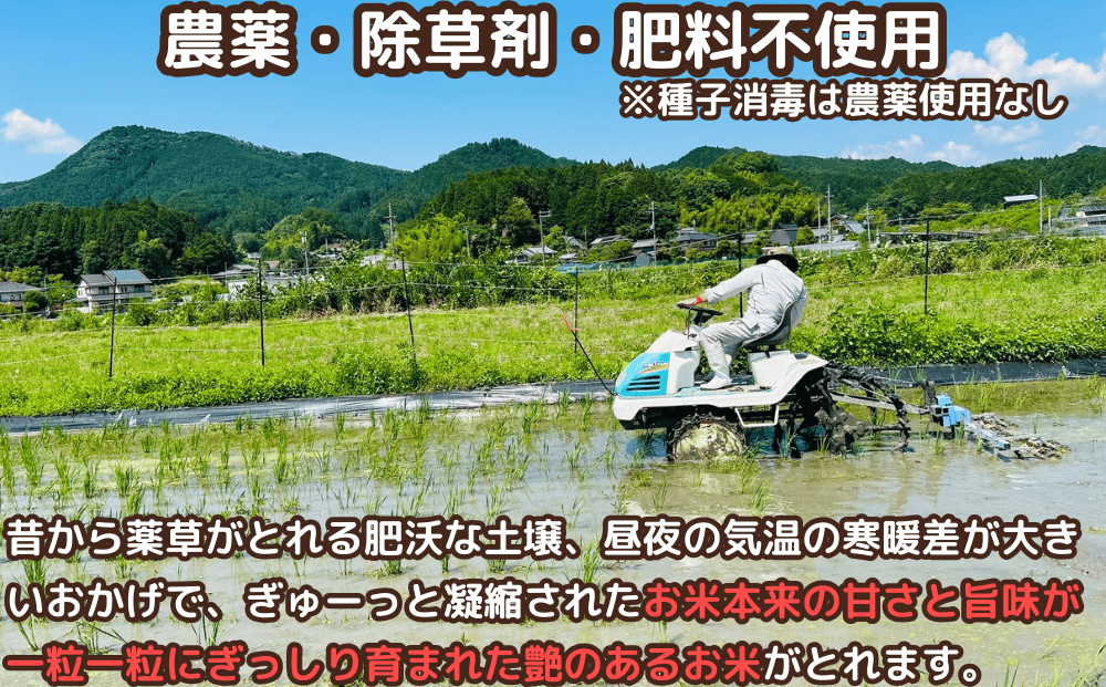 奈良県宇陀市のふるさと納税 ★自然栽培米★新米【令和6年産】玄米 3kg ９月末より順次発送/自然栽培米 新米 令和6年産 玄米 農家やまおか 無農薬 国産 お米 奈良県 宇陀市 お米 玄米 送料無料