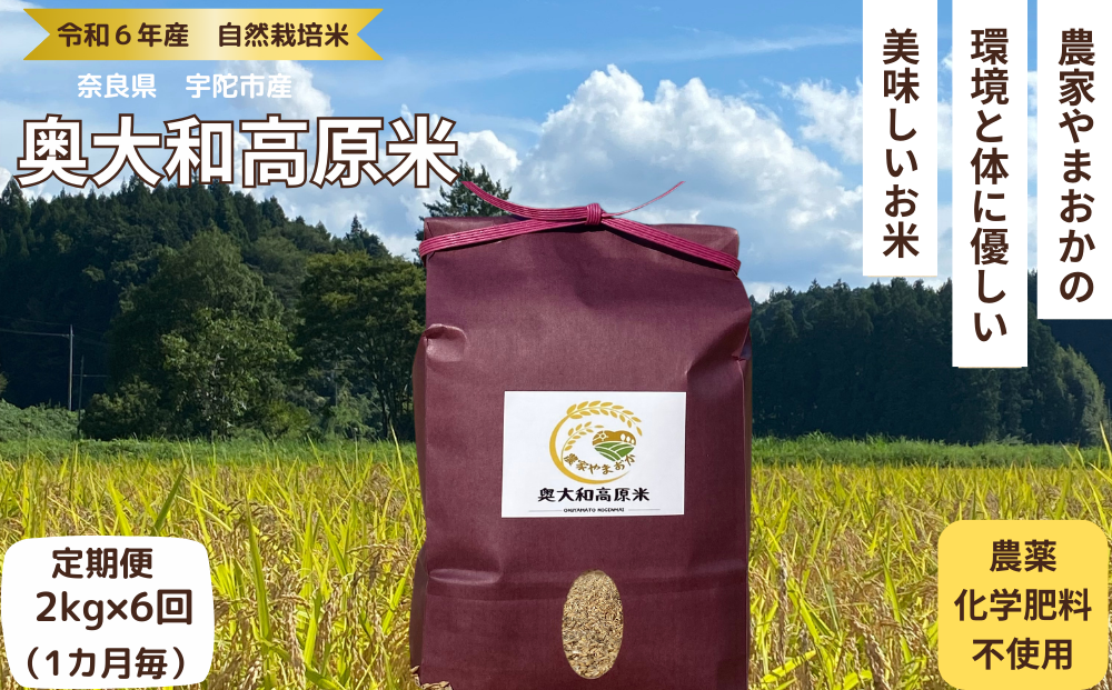 受付停止中】新米コシヒカリ 30キロ 令和6年産