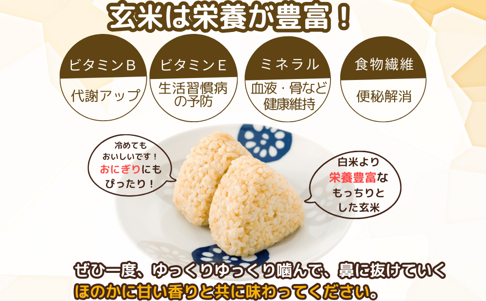 ☆自然栽培米 ☆定期便 毎月6回☆新米 【令和6年産 】玄米 5kg