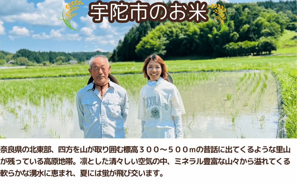 奈良県宇陀市のふるさと納税 特別栽培米★新米 《令和6年産》 玄米 ２kg ９月末より順次発送/自然栽培米 新米 令和6年産 玄米 農家やまおか 無農薬 国産 お米 奈良県 宇陀市 送料無料 ふるさと納税 新米