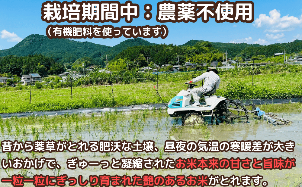 奈良県宇陀市のふるさと納税 特別栽培米★新米 《令和6年産》 玄米 ２kg ９月末より順次発送/自然栽培米 新米 令和6年産 玄米 農家やまおか 無農薬 国産 お米 奈良県 宇陀市 送料無料 ふるさと納税 新米