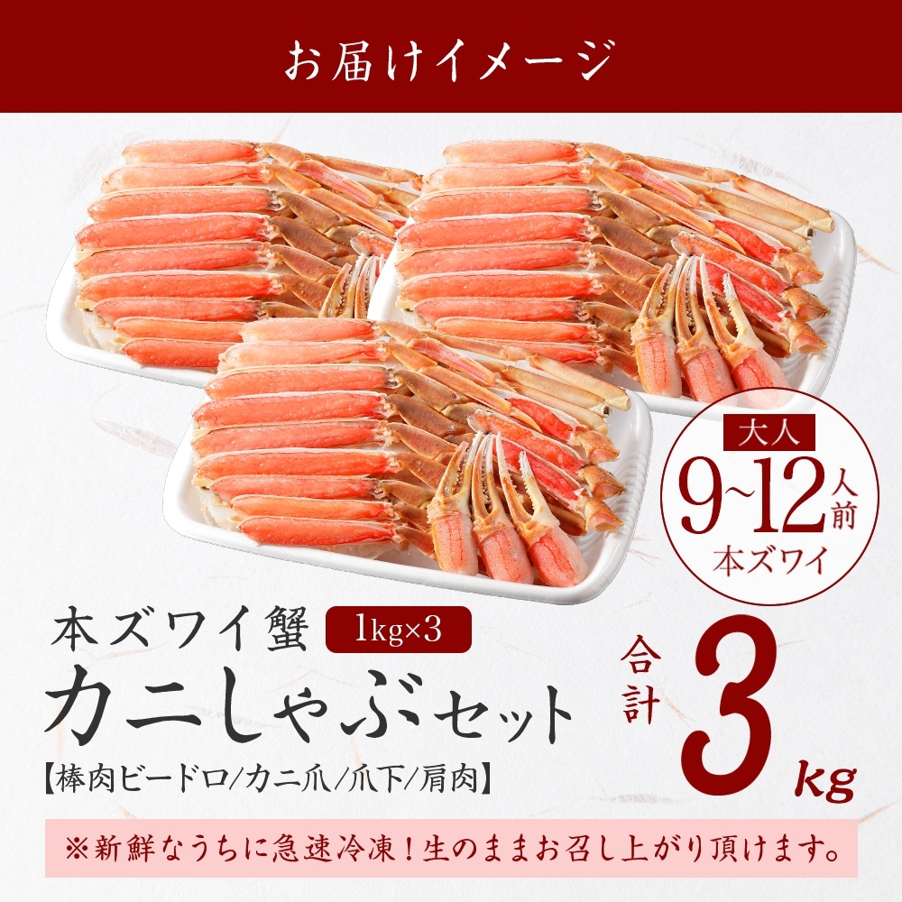 3000. 本ズワイガニ 蟹しゃぶ ビードロ 1kg 3個 計3kg 9-12人前 生食 カット済 ずわい蟹 ズワイガニ カニ 蟹 かに 生 蟹しゃぶ  人気 お取り寄せ 送料無料 北海道 弟子屈町 / 北海道弟子屈町 | セゾンのふるさと納税