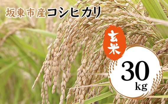 No.756 令和6年産 玄米 コシヒカリ30kg【坂東市産】 ／ お米 げんまい こしひかり 大容量 茨城県 特産品 / 茨城県坂東市 |  セゾンのふるさと納税