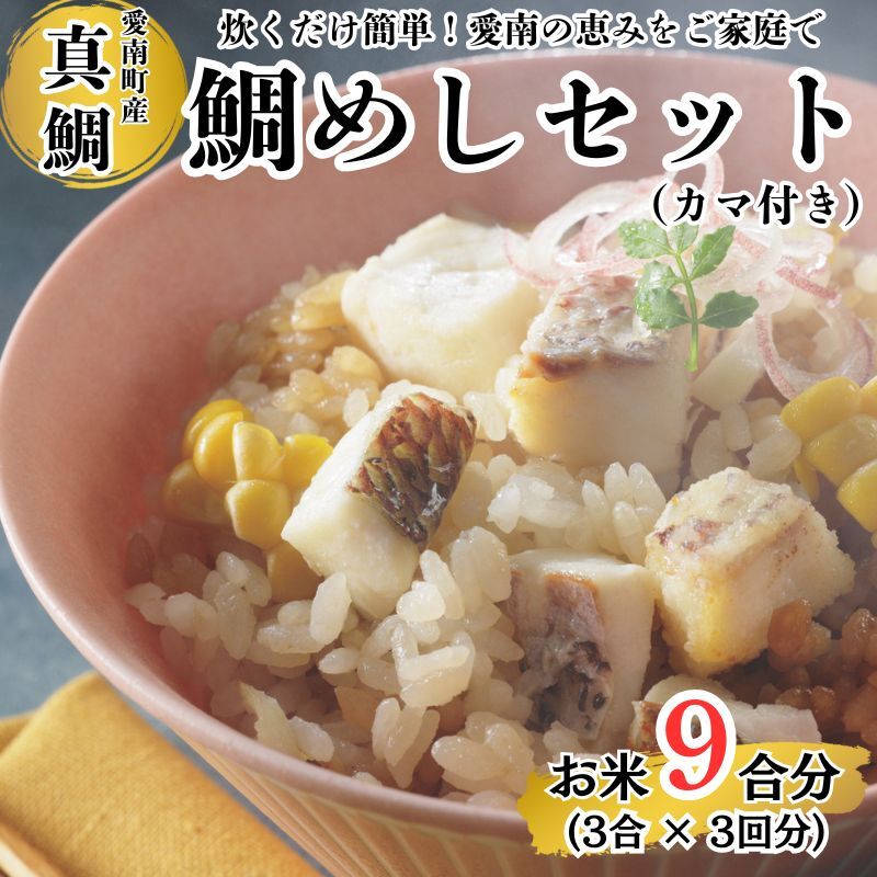 【愛媛県愛南町】鯛めしセット (180g×3パック) カマ付き まだい 鯛 冷凍 ダイスカット サイコロ コロコロ 角切り 鯛めし 釜めし 炊き込みご飯 10000円  おかず 惣菜 つまみ 入れるだけ 国産 魚介 特産品 魚介類 海産物 鮮魚 養殖 産地直送 海鮮 ブランド 簡単 お正月 お