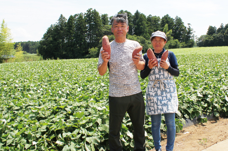 茨城県行方市のふるさと納税 CU-87-4  【2025年4月より順次発送】★数量限定★【訳あり】無選別　行方台地のさつまいも　紅はるか約5kg＋シルクスイート約5kg