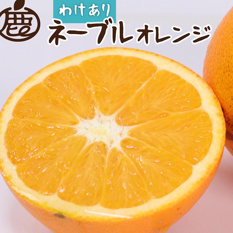 ＜2月より発送＞家庭用 ネーブルオレンジ2.5kg+75g（傷み補償分）｜訳あり・わけあり【光センサー選別】 ※北海道・沖縄・離島への配送不可 ※2025年2月上旬～2月下旬頃に順次発送予定