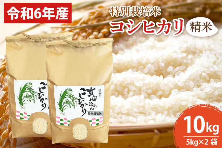 BN005　【先行予約】【令和６年産】【数量限定】新米　コシヒカリ精米10kg  特別栽培米