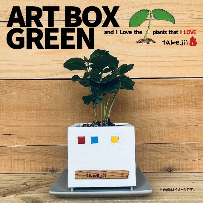 yRԔ֎szCeA ART BOX GREEN / 002(j A[g{bNX ϗtA A R Ԕ֎s  takejii craft
