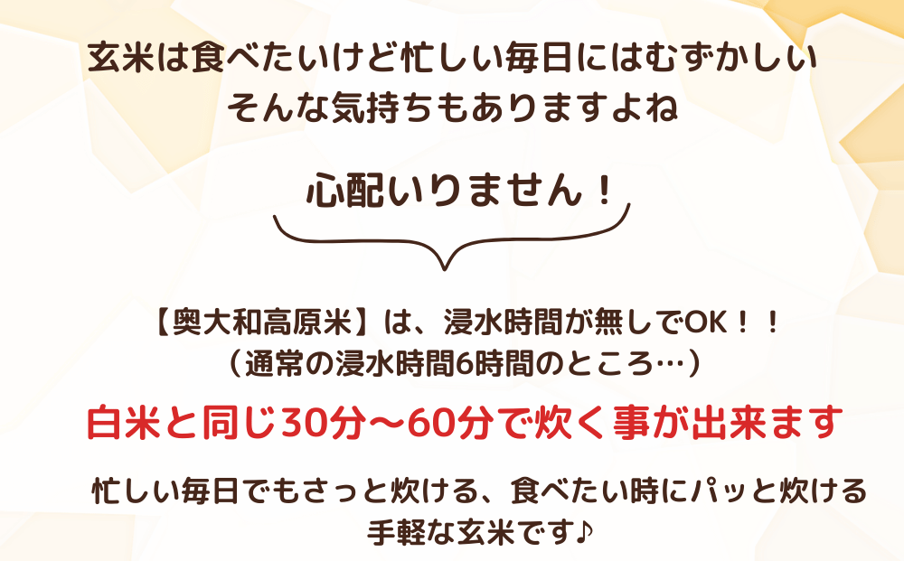 奈良県宇陀市のふるさと納税 ★自然栽培米★新米【令和6年産】玄米 3kg ９月末より順次発送/自然栽培米 新米 令和6年産 玄米 農家やまおか 無農薬 国産 お米 奈良県 宇陀市 お米 玄米 送料無料