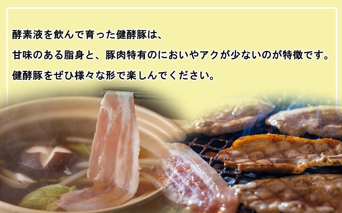 北海道新ひだか町のふるさと納税 ＜ 定期便 12回 ＞ 北海道産 健酵豚 おまかせ セット （ 加工品 あり） 毎月 各 3～4 パック 豚肉 精肉 加工品 詰め合わせ ブランドポーク