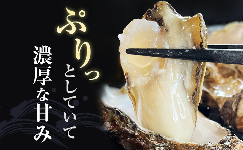 北海道厚岸町のふるさと納税 先行予約 厚岸産 『 マルえもん 』『 カキえもん 』『 弁天かき 』3種 食べ比べ セット  北海道 牡蠣 カキ かき 生食 生食用 生牡蠣