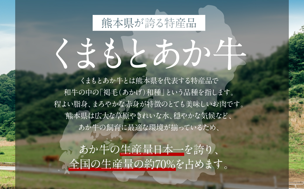 熊本県八代市のふるさと納税 【訳あり】あか牛ハンバーグ 120g×8個入り