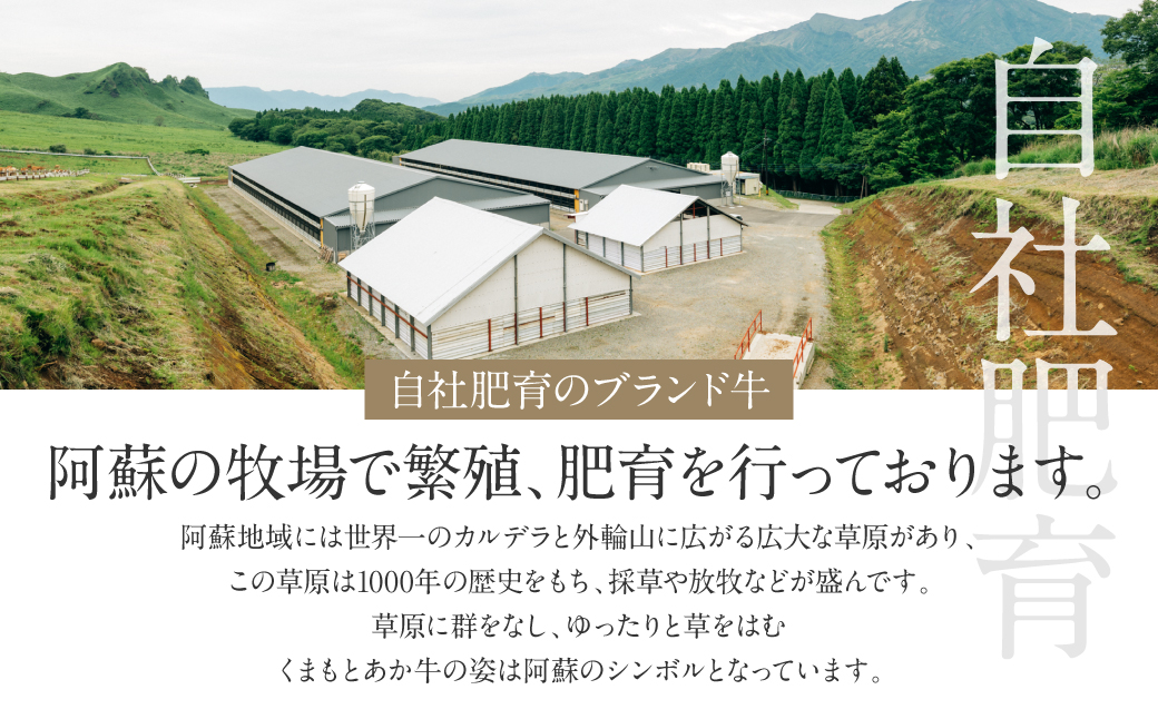 熊本県八代市のふるさと納税 【訳あり】あか牛ハンバーグ 120g×8個入り