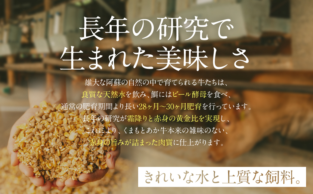 熊本県八代市のふるさと納税 【訳あり】あか牛ハンバーグ 120g×8個入り