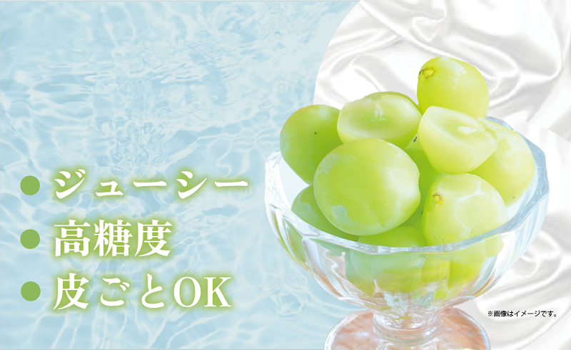 山梨県甲斐市のふるさと納税 【2025年発送】 特選 シャインマスカット 2房 約1.2kg 先行予約 山梨県産 産地直送 フルーツ 果物 くだもの ぶどう ブドウ 葡萄 シャイン シャインマスカット 新鮮 人気 おすすめ 国産 贈答 ギフト お取り寄せ 山梨 甲斐市 AN-129