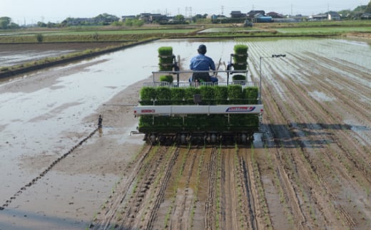 茨城県坂東市のふるさと納税 No.759 「令和6年産」冬眠米コシヒカリ　2kg ／ お米 コメ 甘み ツヤ 茨城県 特産品