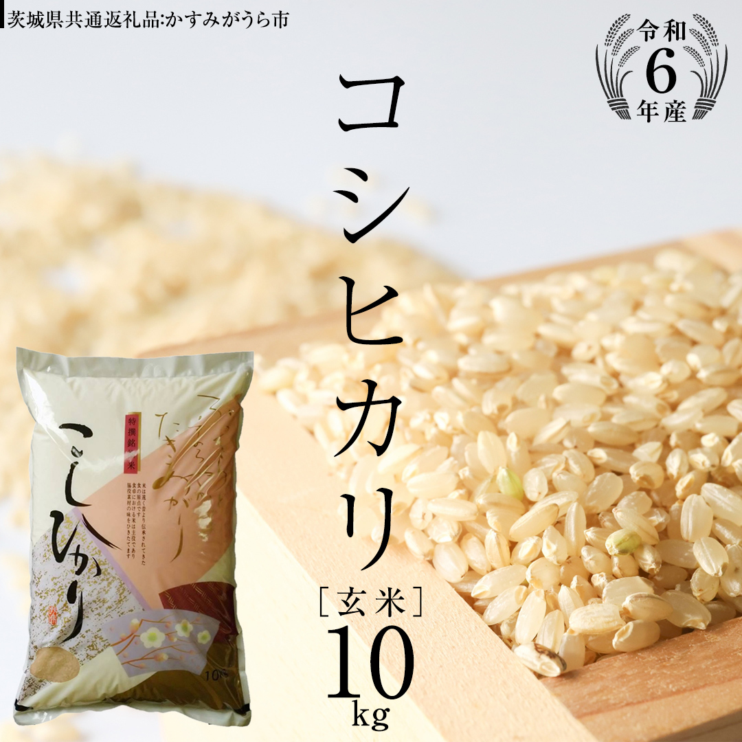 【 令和6年産 】 コシヒカリ 玄米 10kg ( 10kg × 1袋 ) (茨城県共通返礼品 かすみがうら市) 米 ごはん もっちり 甘い コメ  お米 玄米 [EX004sa]|有限会社石塚産業