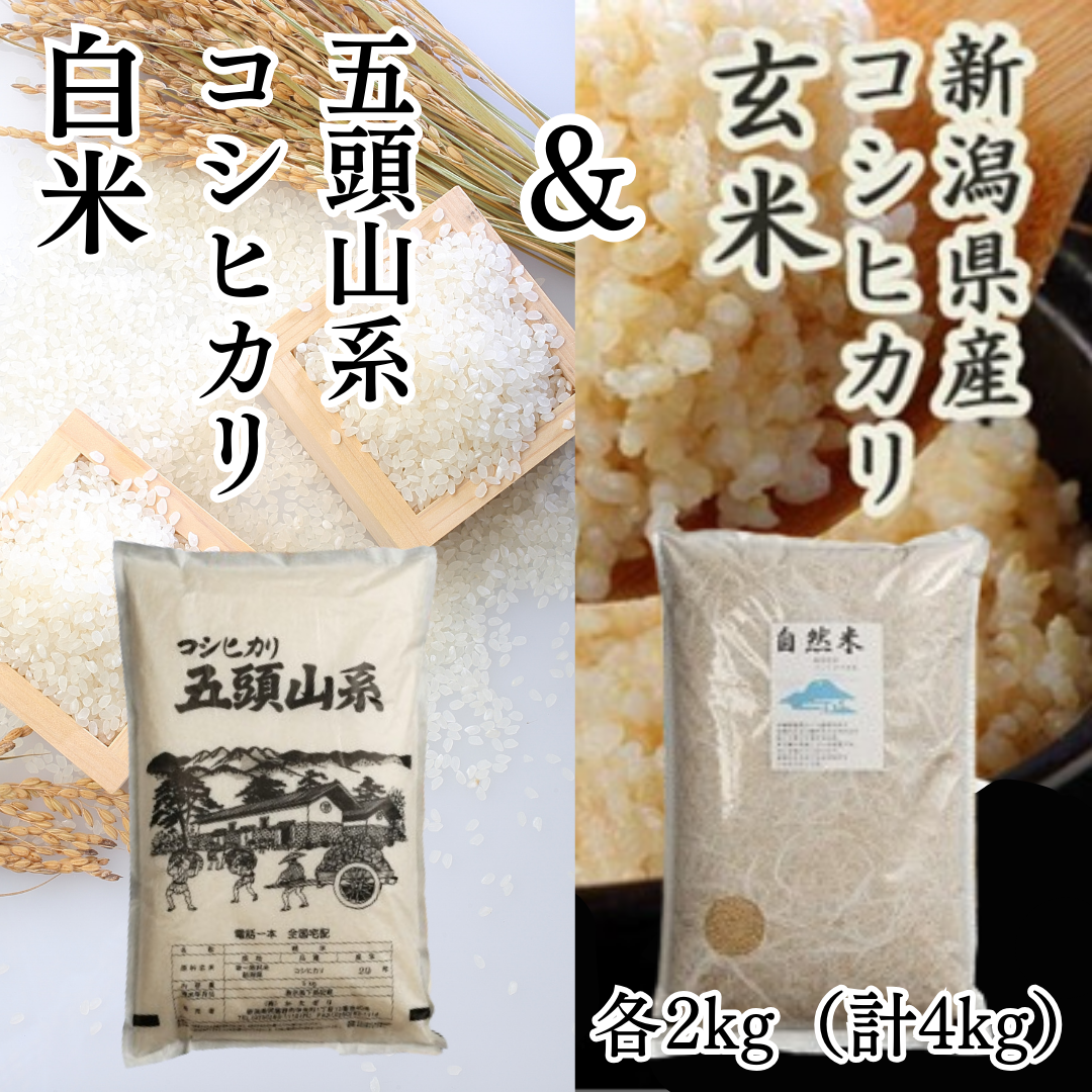 【新米】「米屋のこだわり阿賀野市産」 コシヒカリ玄米＆白米 各2kgセット 1E10012|株式会社 かたぎり, TEL：0250-68-4652,  http://komeyakatagiri.com/