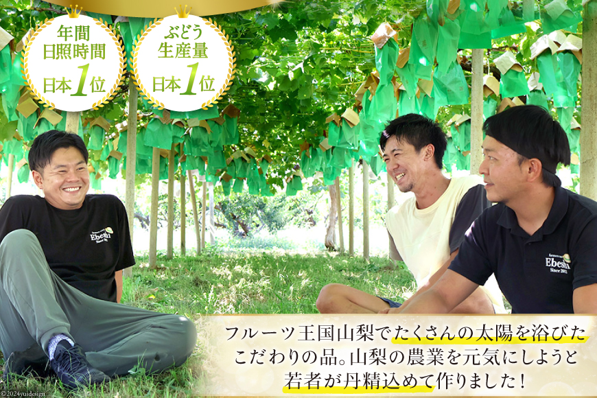 山梨県中央市のふるさと納税 【2025年発送】ぶどう 山梨県産 シャインマスカット1kg以上 2房 [株式会社えべし 山梨県 中央市 21470877] フルーツ 果物 くだもの ブドウ シャイン マスカット 葡萄 期間限定 季節限定