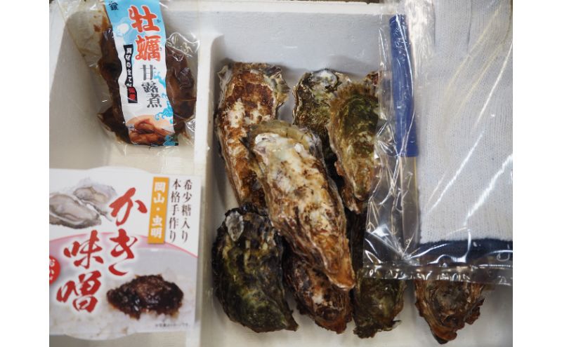 岡山県瀬戸内市のふるさと納税 牡蠣 2025年 先行予約 牡蠣づくし セット （ 殻付牡蠣 15個・ 甘露煮 ・ かき味噌 ） 山銀商店 瀬戸内海虫明湾産 魚介類 カキ シーフード