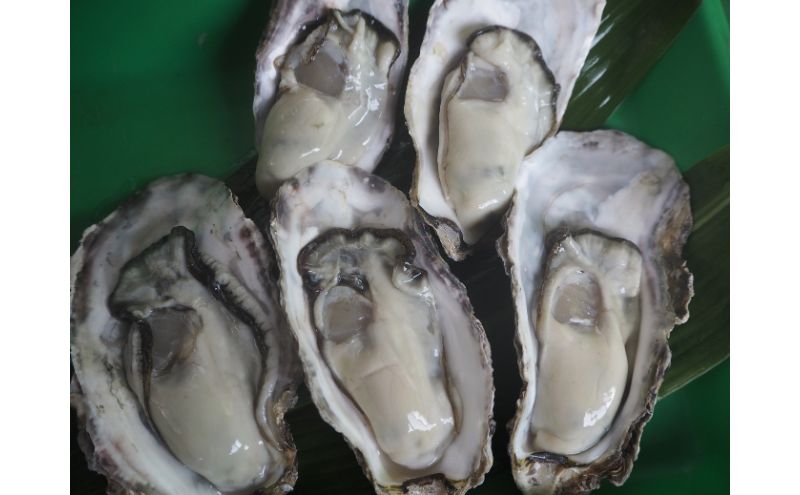 岡山県瀬戸内市のふるさと納税 牡蠣 2025年 先行予約 牡蠣づくし セット （ 殻付牡蠣 15個・ 甘露煮 ・ かき味噌 ） 山銀商店 瀬戸内海虫明湾産 魚介類 カキ シーフード