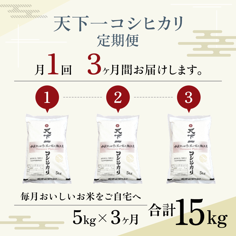 新潟県魚沼市のふるさと納税 定期便 【魚沼産】 天下一 コシヒカリ 5kg 全3回 （ 米 定期便 3ヶ月 魚沼産コシヒカリ 魚沼産 精米 白米 お米 こめ コメ こしひかり 魚沼 3回 お楽しみ ）