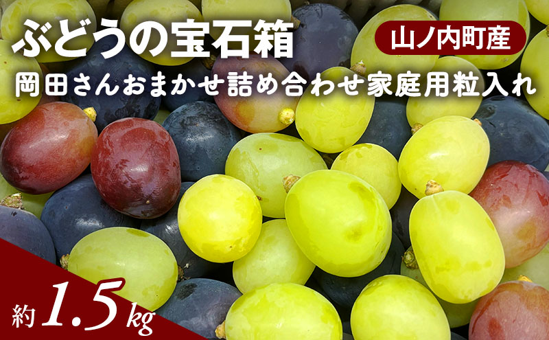 ぶどう ぶどうの宝石箱  岡田さんおまかせ詰め合わせ家庭用粒入れ約1.5kg 山ノ内町産 ブドウ 葡萄