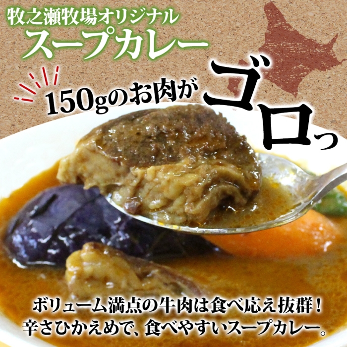 3024. ビーフ スープカレー 300g 15袋 カレー ビーフカレー