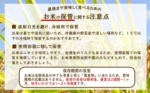 宮崎県えびの市のふるさと納税 【令和6年度】限定品 えびの産 ヒノヒカリ 真幸米(まさきまい) 5kg 米 ひのひかり お米 精米 白米 おにぎり お弁当 宮崎県産 九州産 送料無料 冷めても美味しい