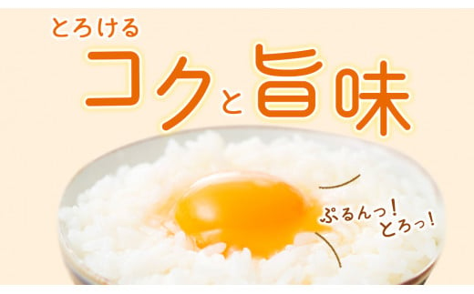 宮崎県えびの市のふるさと納税 【ふるさと納税】卵 鶏卵 霧島山麓育ち こだわり卵 康卵 たまご 玉子 卵 タマゴ 生卵 鶏卵 30個入り 玉子焼き 卵焼き ゆで卵 ゆでたまご エッグ TKG 卵かけご飯 たまごかけごはん つまめる 破損保証3個含む MS L 混合 宮崎県産 九州産 送料無料