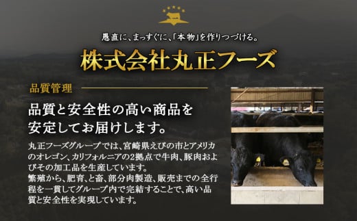 宮崎県えびの市のふるさと納税 【えびの高原】ビーフジャーキーセット 合計150g (30g×5パック）