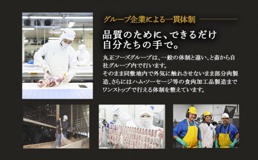 宮崎県えびの市のふるさと納税 【えびの高原】ビーフジャーキーセット 合計150g (30g×5パック）