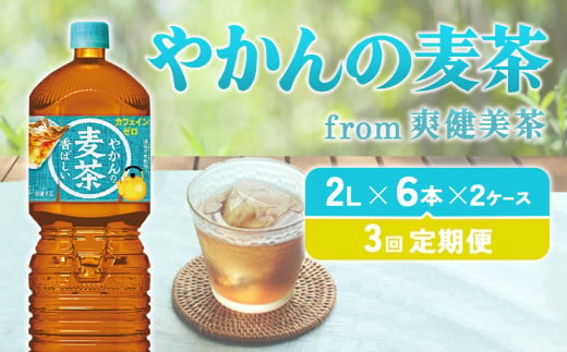 【3回定期便】 やかんの麦茶 from 爽健美茶 PET (2L×6本)×2ケース【コカコーラ】麦茶 お茶 ノンカフェイン 水分補給 こども 美容 むくみ