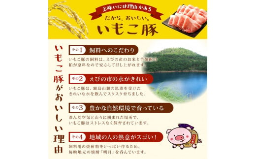 宮崎県えびの市のふるさと納税 【訳あり】いもこ豚（彩） 5種盛り バラエティセット 合計2.16kg バラ バラ 小間切れ 細切れ こま切れ ロース 肩ロース しゃぶしゃぶ スライス 豚ミンチ 豚肉 いもこ豚 セット 詰合せ 生姜焼き 焼肉 サムギョプサル ポッサム 豚丼 とんかつ鉄板 ホットプレート パーティー 冷凍 宮崎県産 九州産 発送時期が選べる 送料無料