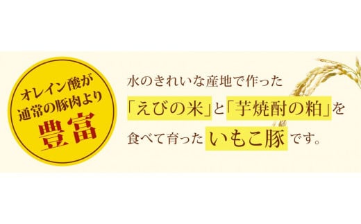 宮崎県えびの市のふるさと納税 【訳あり】いもこ豚（彩） 5種盛り バラエティセット 合計2.16kg バラ バラ 小間切れ 細切れ こま切れ ロース 肩ロース しゃぶしゃぶ スライス 豚ミンチ 豚肉 いもこ豚 セット 詰合せ 生姜焼き 焼肉 サムギョプサル ポッサム 豚丼 とんかつ鉄板 ホットプレート パーティー 冷凍 宮崎県産 九州産 発送時期が選べる 送料無料