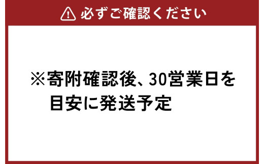 宮崎県えびの市のふるさと納税 宮崎県産 若鶏筋なしささみ 2.5kgセット (250g×10袋) 鶏肉 ささみ 鶏ささみ 小分け 真空パック タンパク質 チキン冷凍 国産 宮崎県産 九州 送料無料