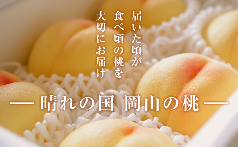 桃 【2025年先行予約】岡山県産 白鳳 ( 白桃 ) 約1.5kg(5~6玉 桃 【2025年先行予約】岡山県産 白鳳 ( 白桃 ) 約1.5kg(5~6玉