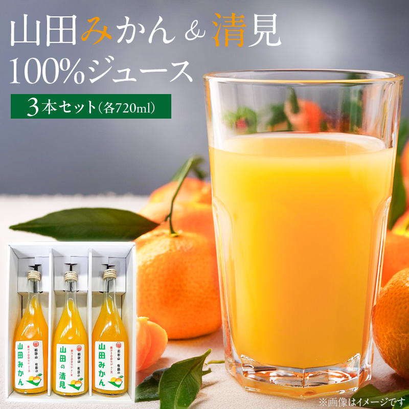 【さぶ】清見ジュース１２本×２箱　【２箱括りでの発送】 AM6003_Y_【直営限定】山田みかんジュース・清見ジュース 720ml