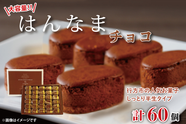 【茨城県行方市】H-47 大容量!!はんなまちょこ60個