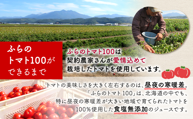 北海道富良野市のふるさと納税 ふらの トマト100 160g×30本入  (ジュース 野菜ジュース 飲み物 缶 北海道 送料無料 道産 富良野市 ふらの)