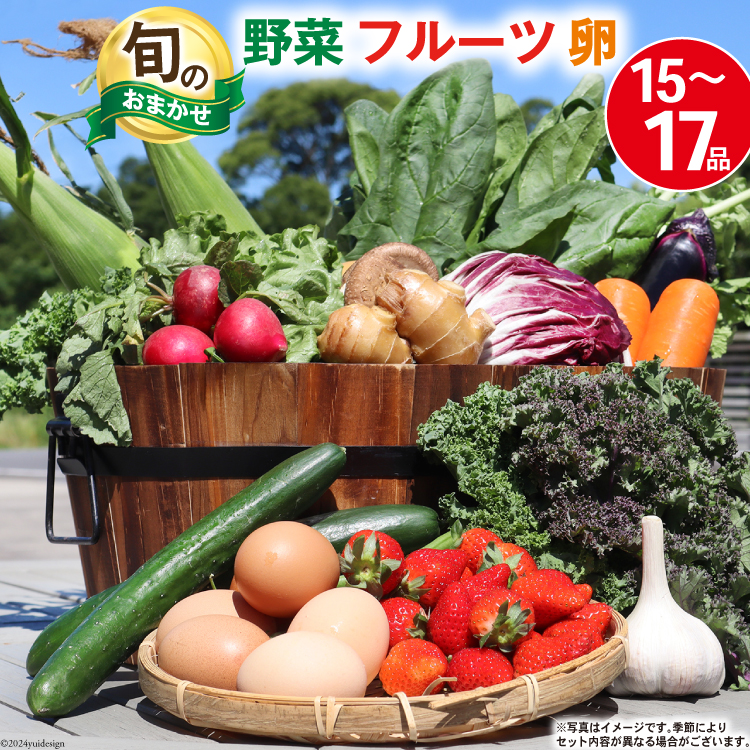 長崎県島原市のふるさと納税 BA025 野菜・フルーツ・卵 旬のおまかせセット （野菜・フルーツ14～16品目、卵6玉）【 野菜セット 野菜 フルーツ 果物 たまご 鶏卵 産地直送 厳選 野菜生活 長崎県 島原市 送料無料】