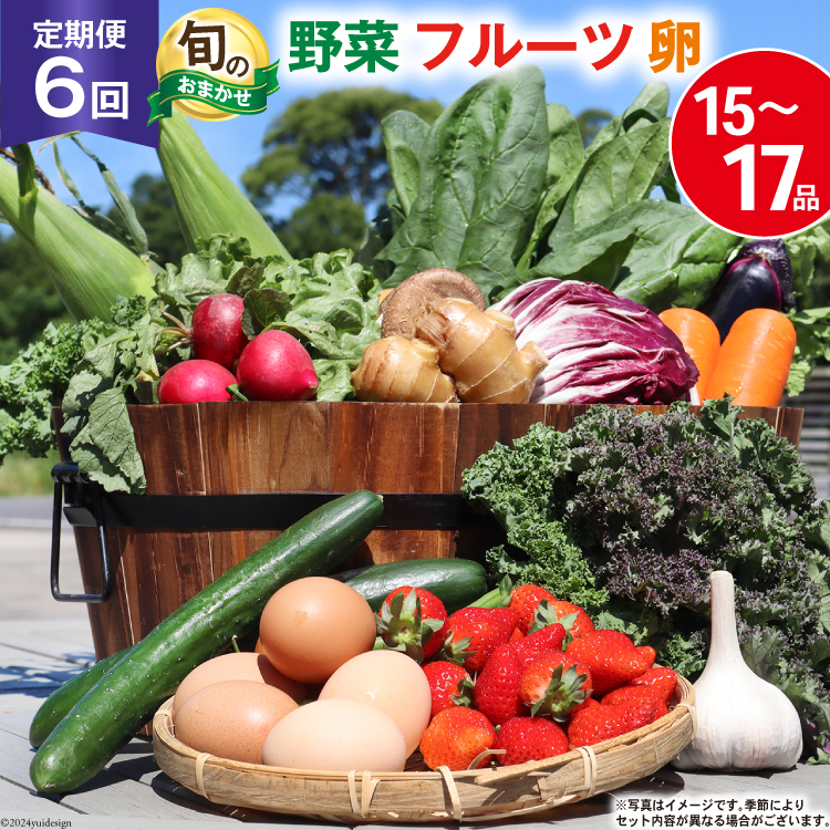 BH113 【6回定期便】 野菜・フルーツ