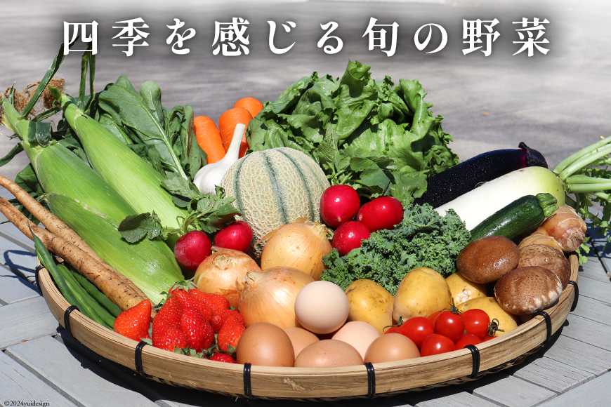 長崎県島原市のふるさと納税 BH113 【6回定期便】 野菜・フルーツ・卵 旬のおまかせセット （野菜・フルーツ14～16種、卵6玉） 【 野菜セット 野菜 フルーツ 果物 たまご 鶏卵 産地直送 厳選 野菜生活 長崎県 島原市 送料無料】