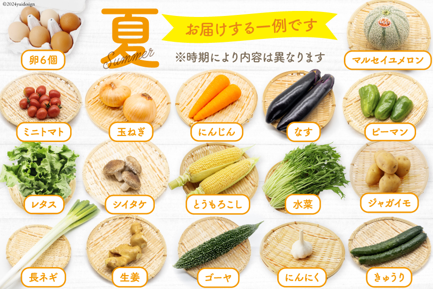 長崎県島原市のふるさと納税 BH113 【6回定期便】 野菜・フルーツ・卵 旬のおまかせセット （野菜・フルーツ14～16種、卵6玉） 【 野菜セット 野菜 フルーツ 果物 たまご 鶏卵 産地直送 厳選 野菜生活 長崎県 島原市 送料無料】